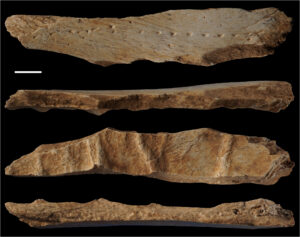 Fragmento de osso revela que humanos usavam roupas de couro há 39 mil anos