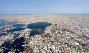 Ecossistema e país próprio: como se formou a grande “ilha” de lixo no Pacífico