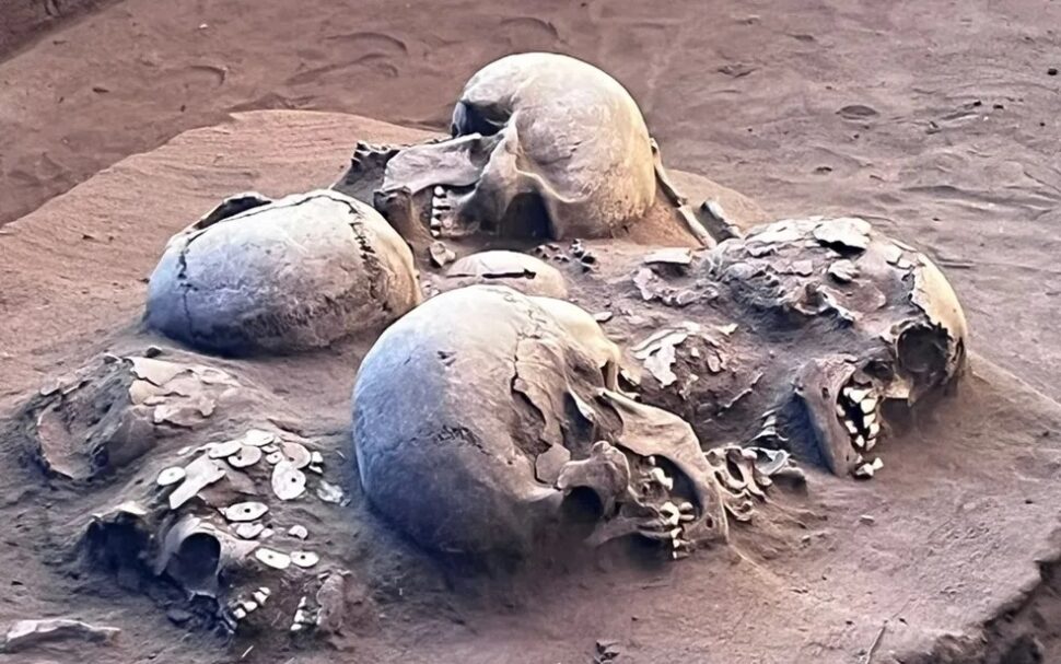 crânios encontrados anteriormente em Serranópolis