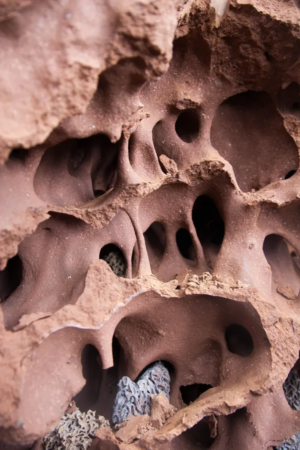 túneis de cupinzeiro na namíbia, imagem de D. Andréen