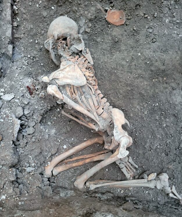 esqueletos pompeia