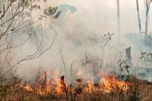 exposição à fumaça imagem de incêndio florestal em rondônia