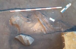 O que se sabe do esqueleto de até 12 mil anos achado em Goiás