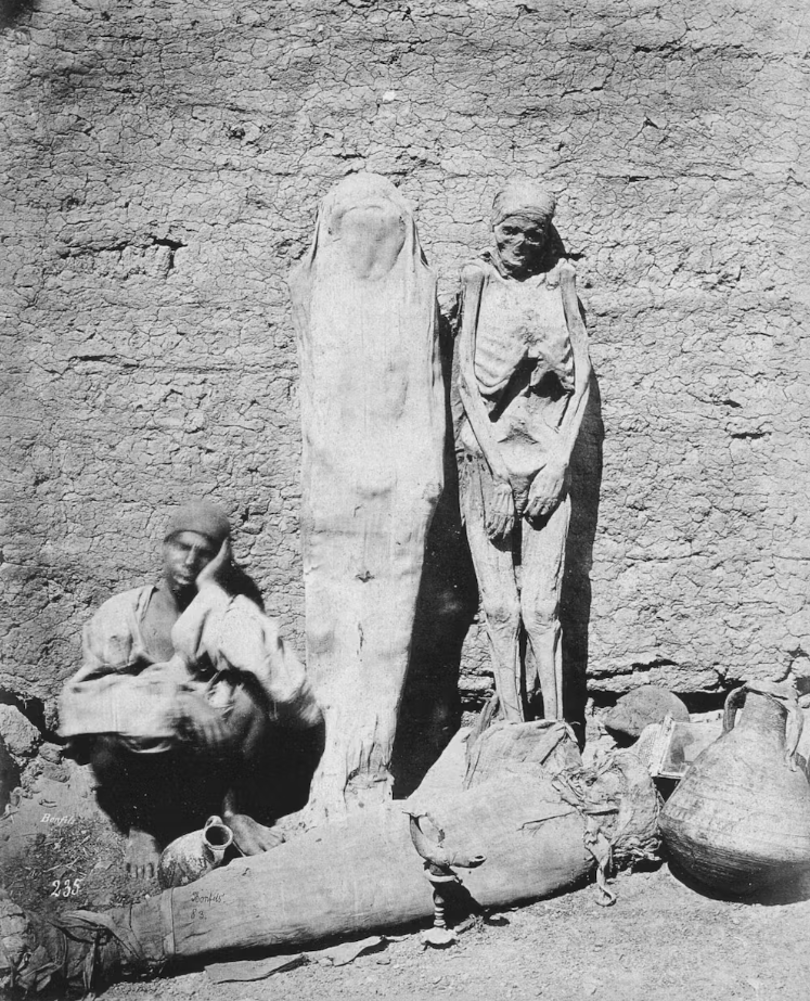 Por erro de tradução, múmias foram usadas como remédio por 600 anos na Europa