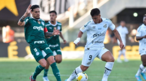 Palmeiras e Santos se enfrentam neste sábado pelo Campeonato Brasileiro