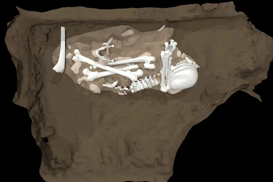 Reconstrução artística do enterro de um Homo naledi adulto