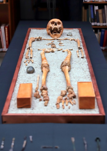 imagem do esqueleto do médico com as caixas de ferramentas