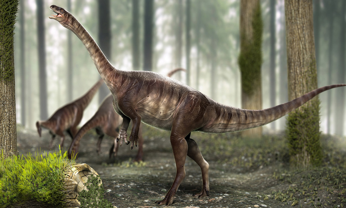 Fóssil brasileiro é o elo perdido entre dinossauros pequenos e gigantes