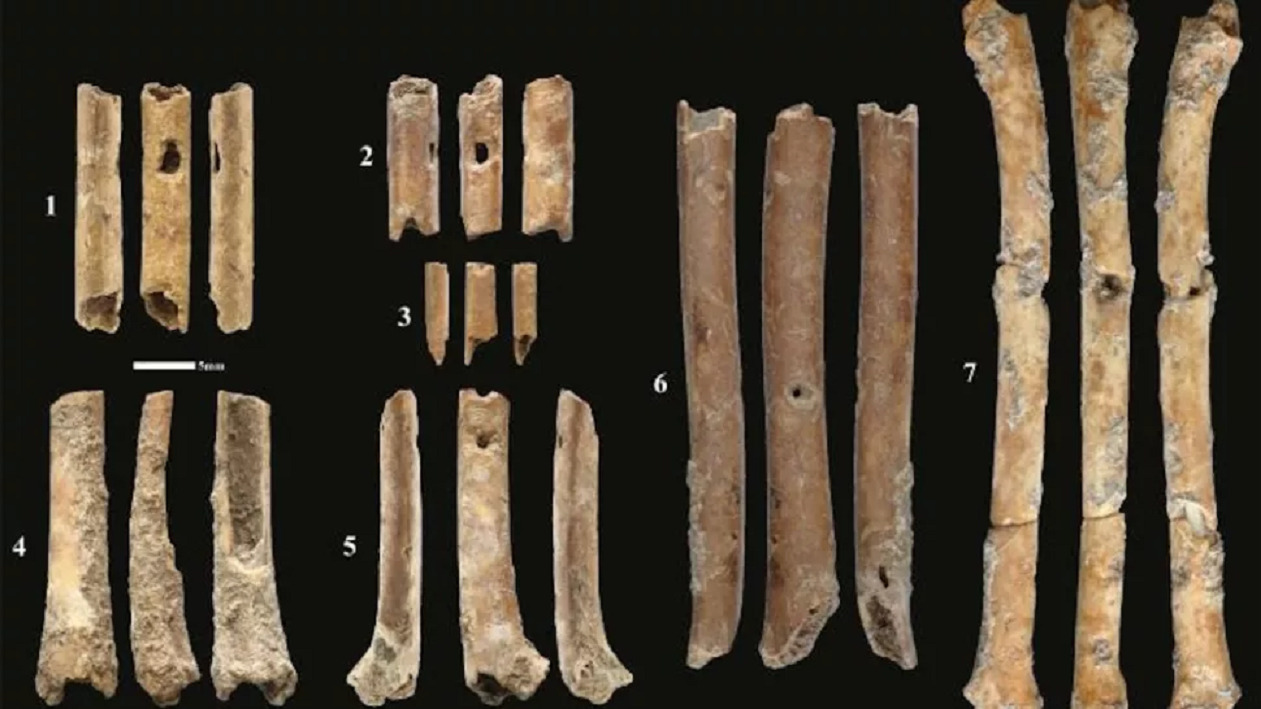 imagem das flautas de 12 mil anos encontradas no norte de israel