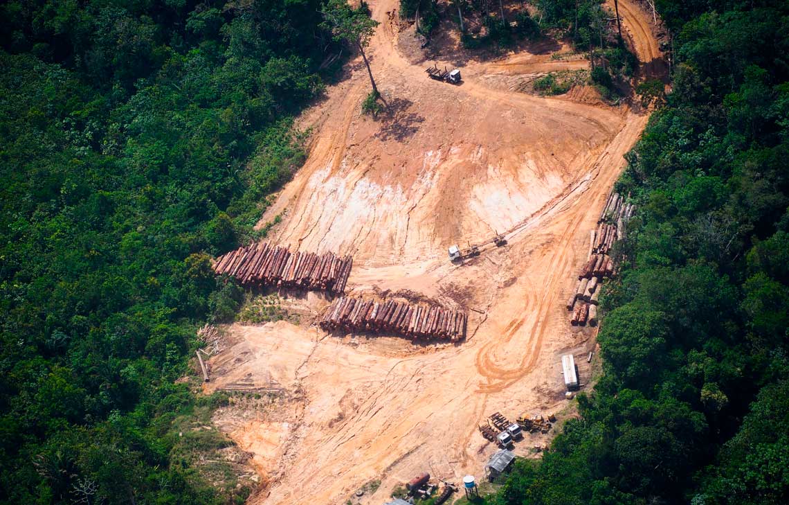 Clareira aberta na Amazônia por exploradores ilegais de madeira
