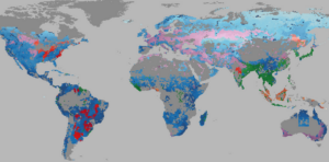 Mapa interativo mostra que soja e carne ocupam áreas prioritárias para conservação no Brasil