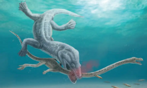 Pescoço de 2 metros facilitava decapitação de répteis há 200 milhões de anos
