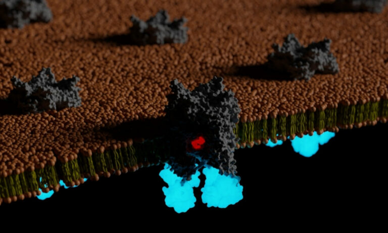 Técnica inovadora acelera o estudo de proteínas de difícil acesso na célula