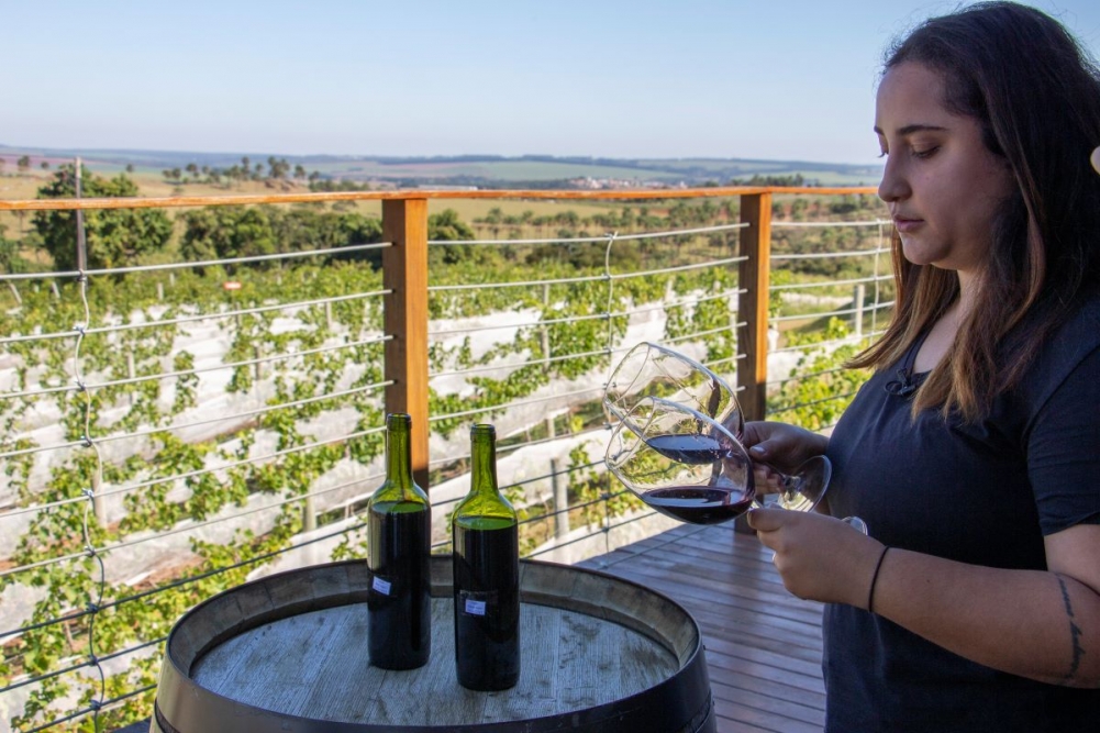 A enóloga Isabella Magalhães compara dois vinhos feitos a partir de uma mesma área de uvas Syrah, na Casa Verrone, em Itobi (foto: Guilherme Lima/Embrapa Instrumentação)