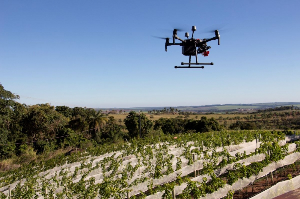 Além de sensores carregados pelos próprios pesquisadores e mesmo embarcados em satélites, um drone faz voos próximos da plantação para realizar medidas que ajudam a estimar o teor de clorofila e os índices vegetativos das videiras 