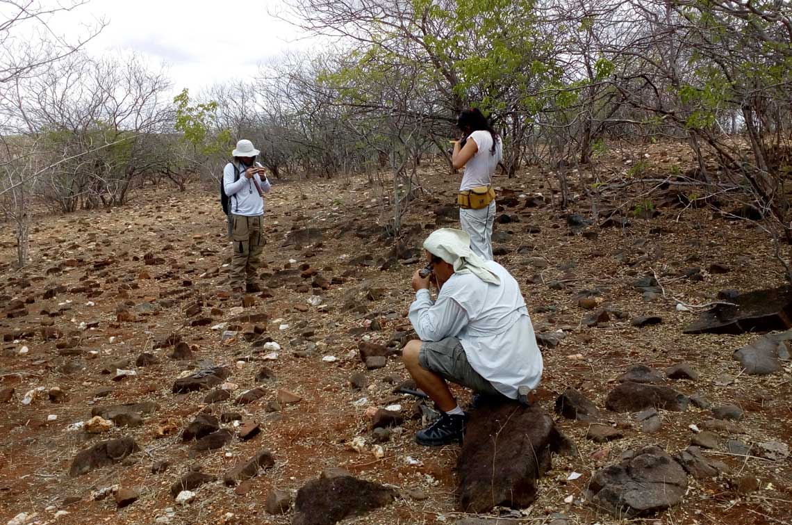 João Paulo Pitombeira, da Universidade Federal de Pernambuco, Nádia Borges e Ticiano Santos (de bermuda) fazem uma primeira seleção de rochas e minerais na região de Irauçuba, no Ceará.