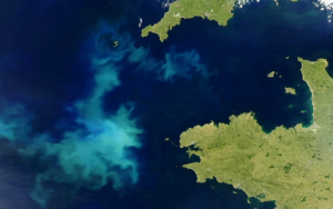 imagens de satélite da NASA mostram variação de cor nos oceanos