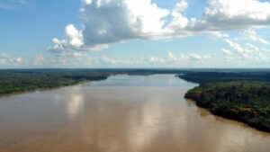 Planícies de inundação da Amazônia submetidas a esse duplo estresse podem sofrer mudanças na vegetação sob um clima com menos chuva e mais sazonalidade