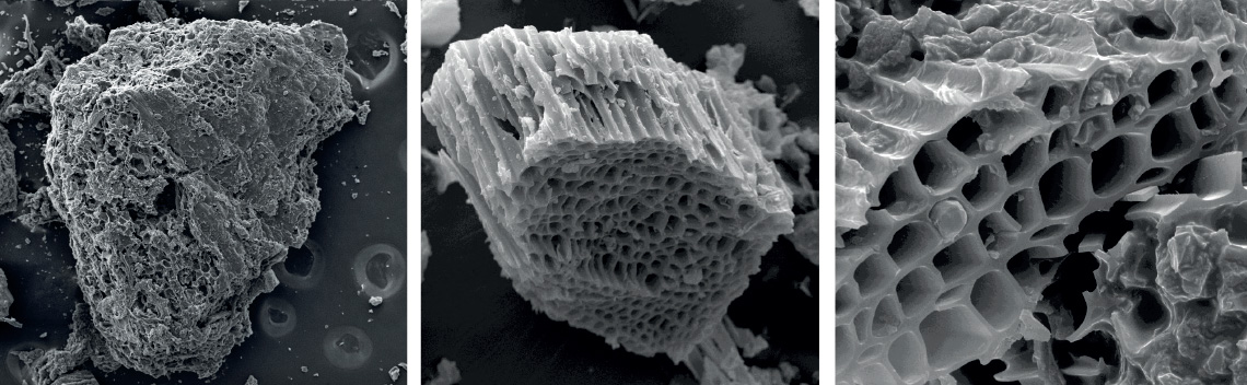 Imagens de microscopia eletrônica de varredura: biocarvão de borra de café (ampliado 150 vezes, à esq.) e de eucalipto (ampliado 800 vezes, no meio, e 2 mil vezes, à dir.)