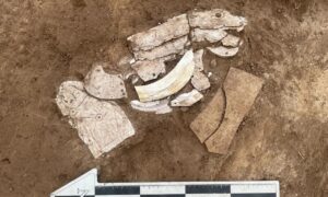 Arqueólogos descobrem dragão chinês do neolítico feito de conchas