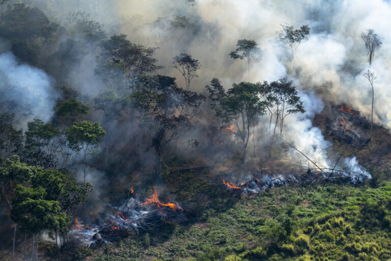 Amazônia incêndios 2024