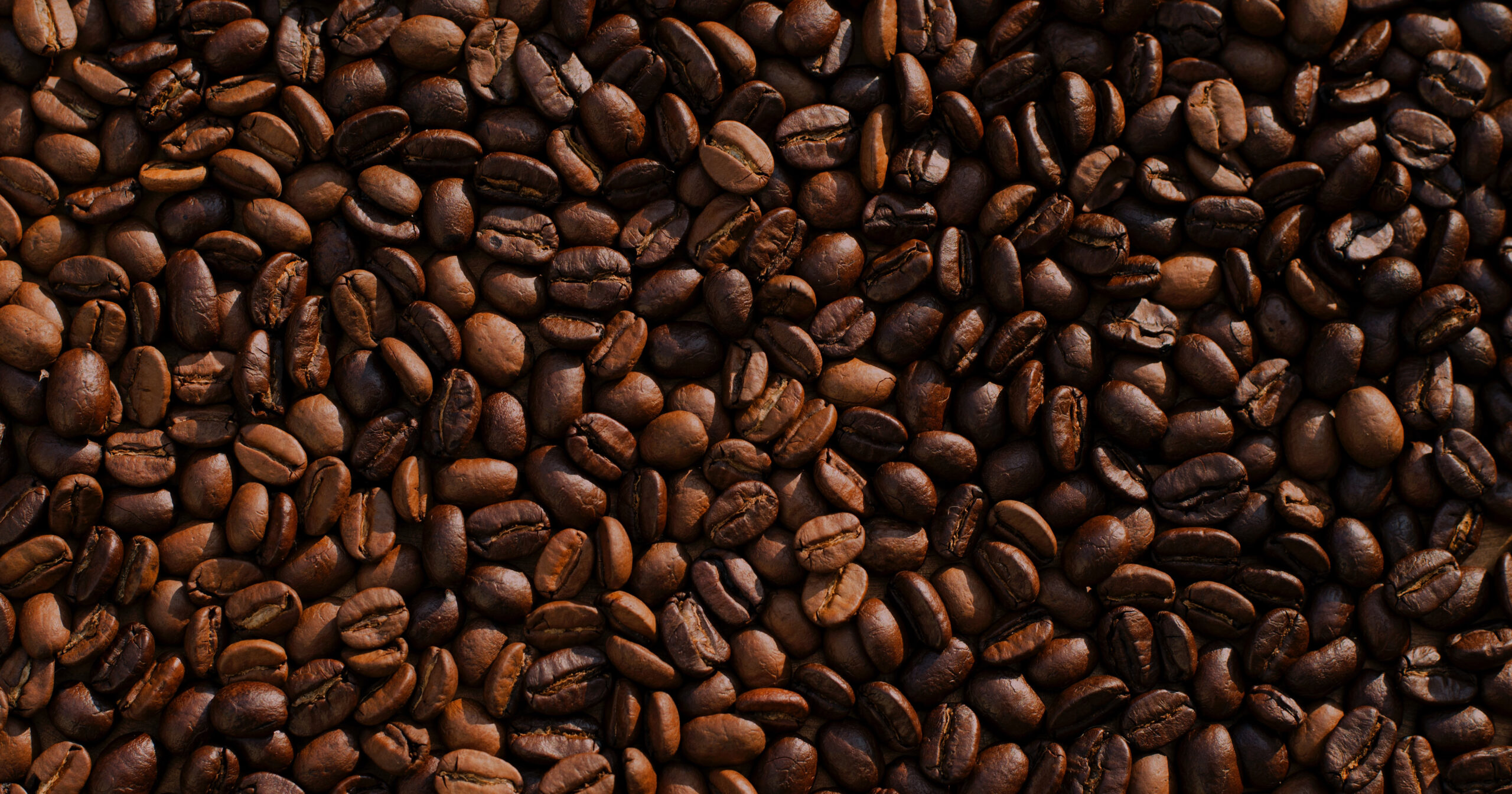 Trigonelina, presente no café, pode melhorar funções cognitivas, diz estudo
