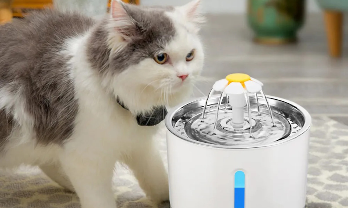 Fonte de água para pets por menos R$ 150; compre agora