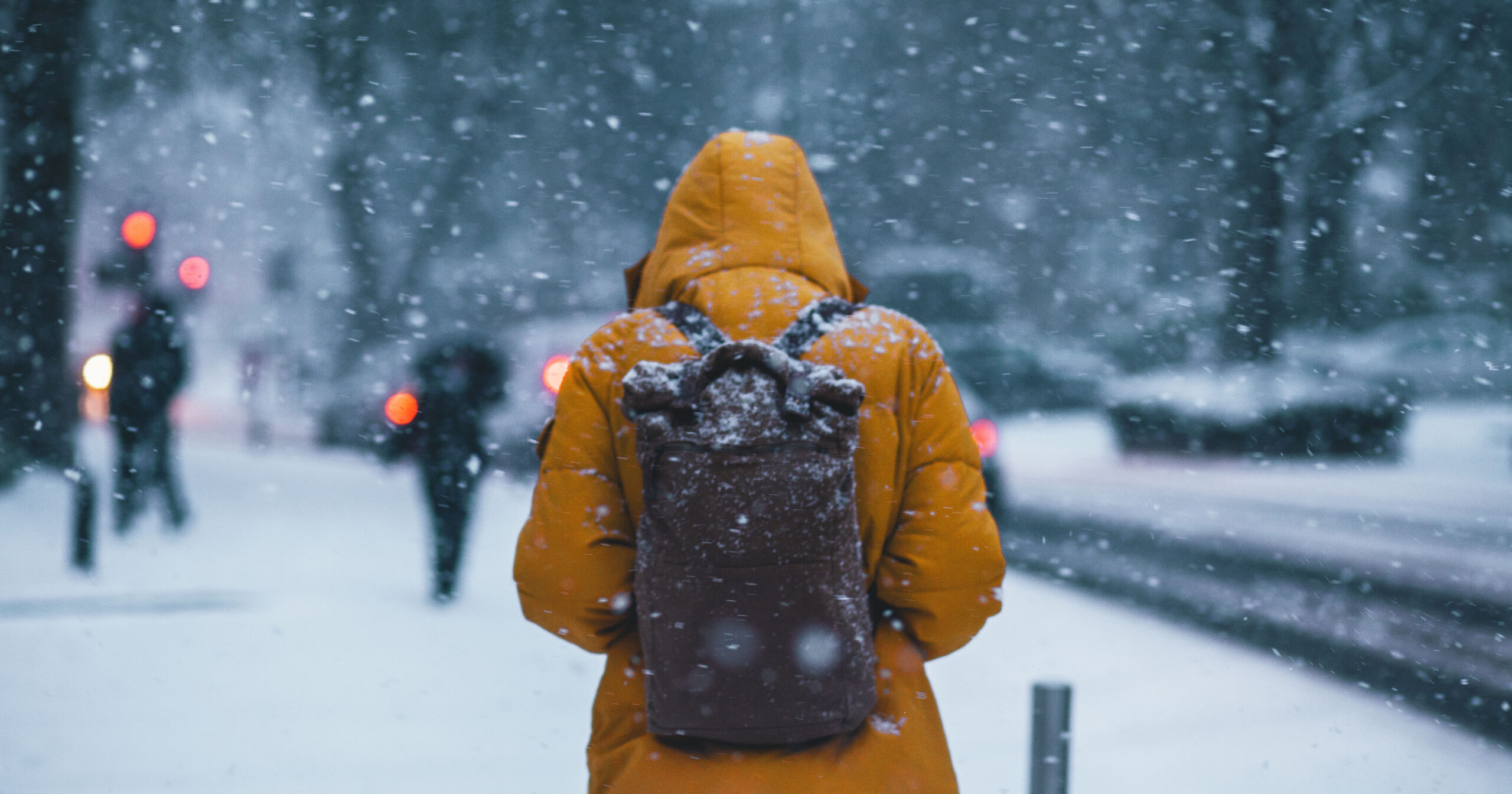 Estudo identifica mecanismo que aumenta apetite durante o frio