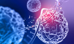 Núcleo produzirá as células CAR-T que serão usadas contra o câncer em ensaio clínico