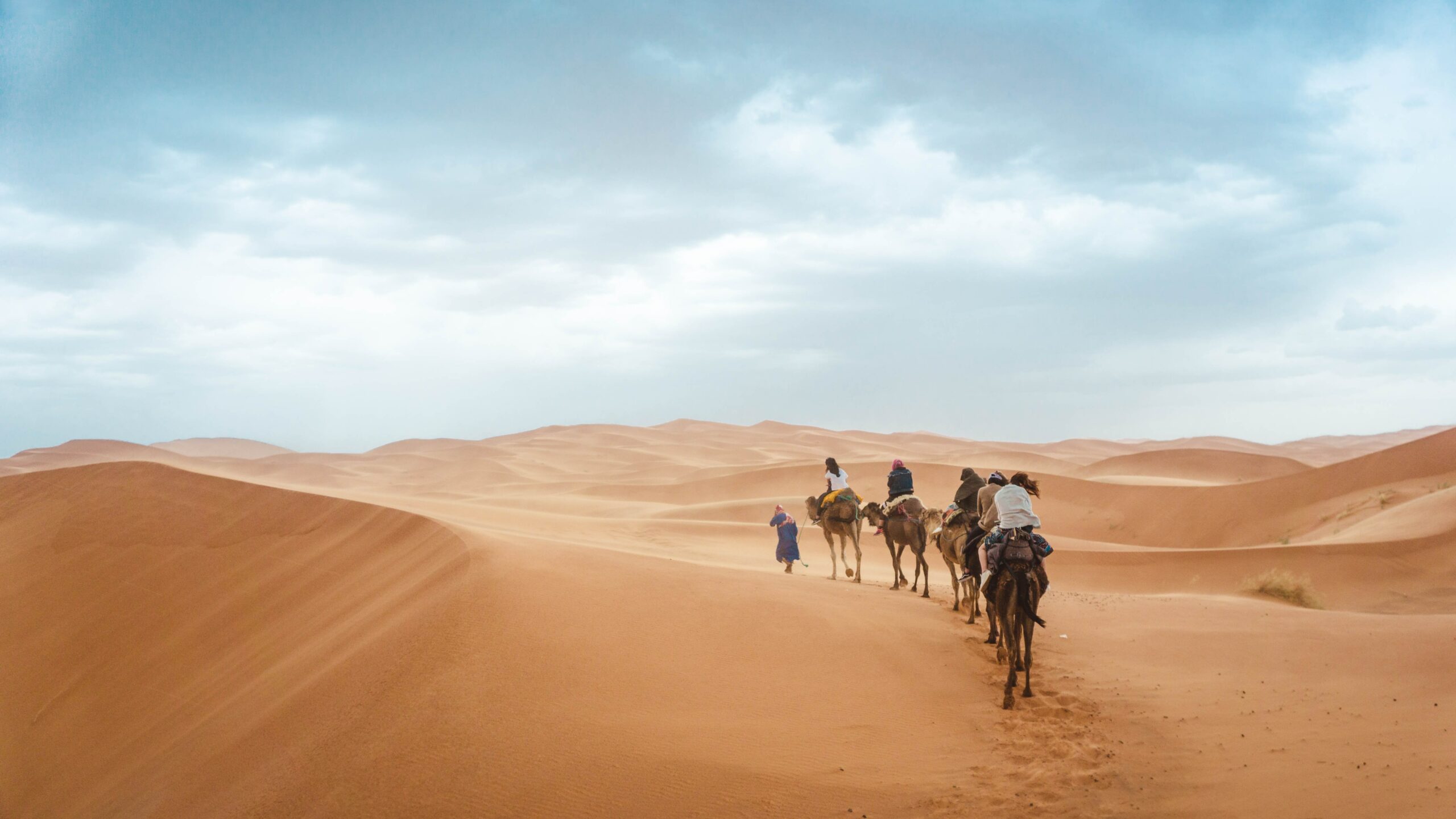 Deserto Saara já foi verde e pesquisa revela quando e o porquê