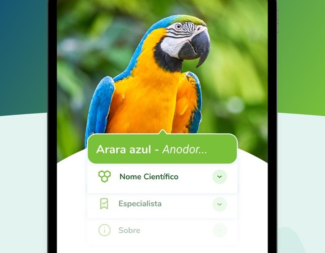 Click Biota: aplicativo visa estimular o estudo e seres vivos