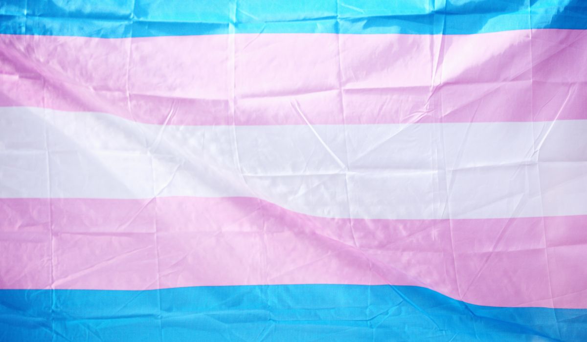 bandeira trans