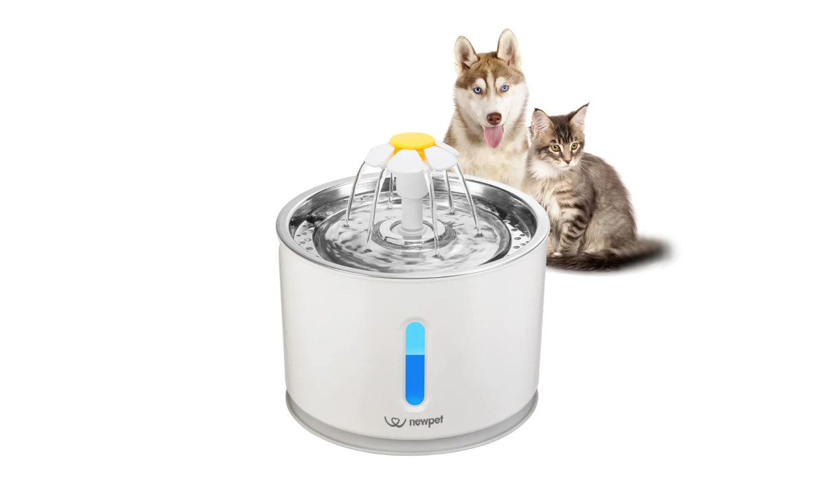 Fonte de água para pets por menos de R$ 200; compre já