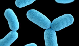 Cientistas modificam genes de bactérias do microbioma intestinal para tratar hipertensão