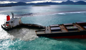 Desastre ambiental ocorreu porque capitão do navio buscava sinal de celular