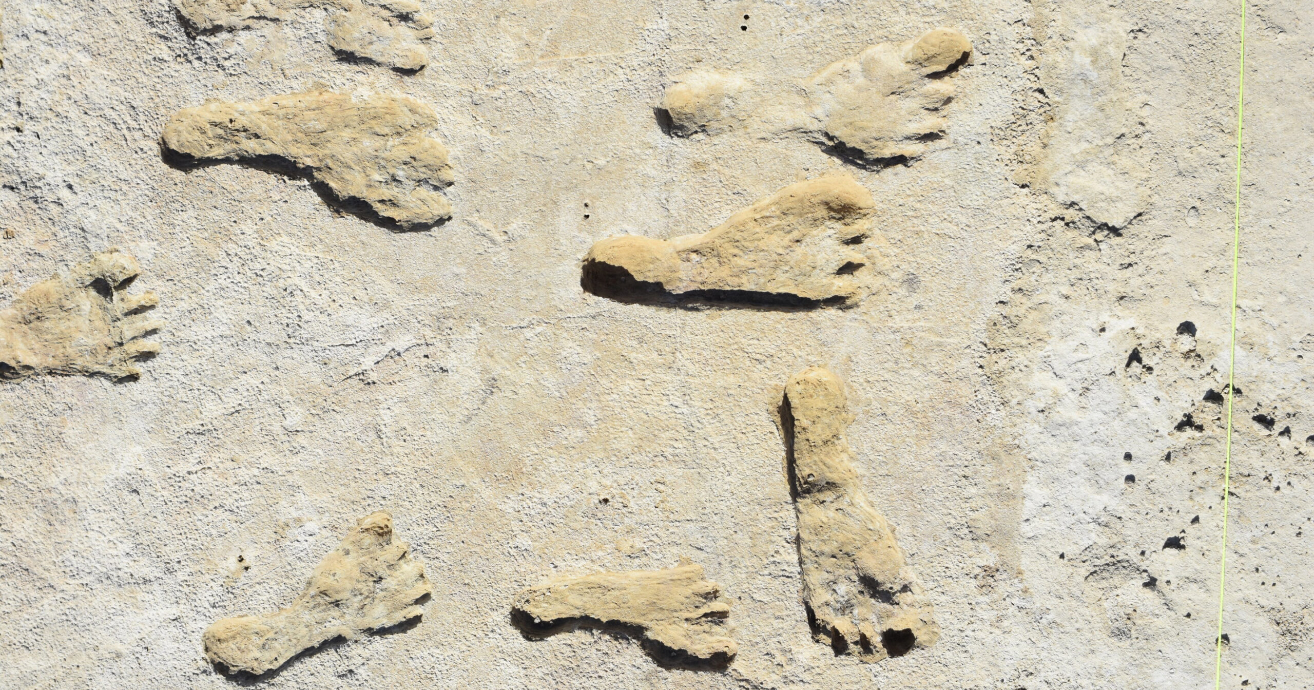 Fóssil de Pegadas nos EUA desafiam teoria da vinda de humanos para América