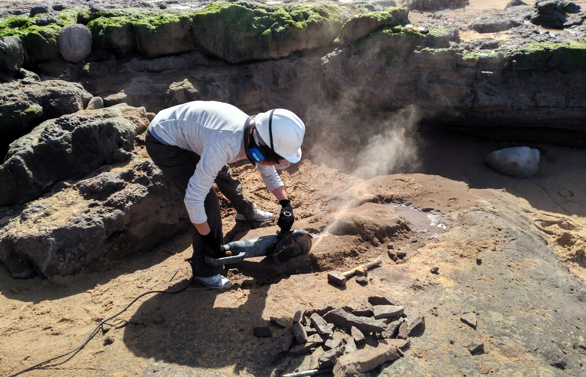 Alexandra Fernandes trabalha na extração de fóssil na rocha