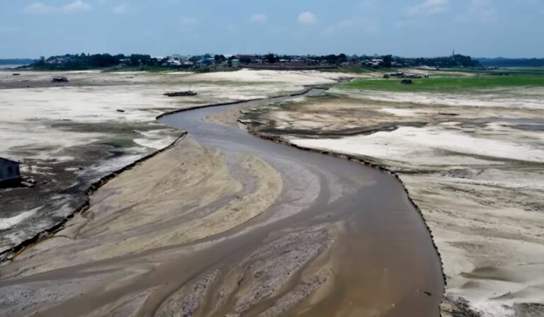 El Niño teve menos impacto na seca Amazônica.