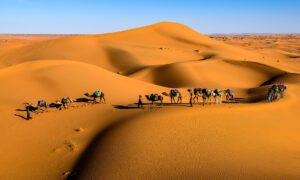 Como 2,5 milhões de pessoas sobrevivem no deserto do Saara?