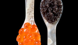 Cientistas encontram caviar ilegal e até falso vendido na Europa