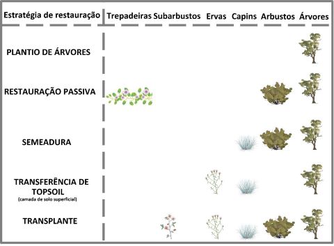 Síntese das principais formas de crescimento do Cerrado que cada técnica de restauração é capaz de recuperar