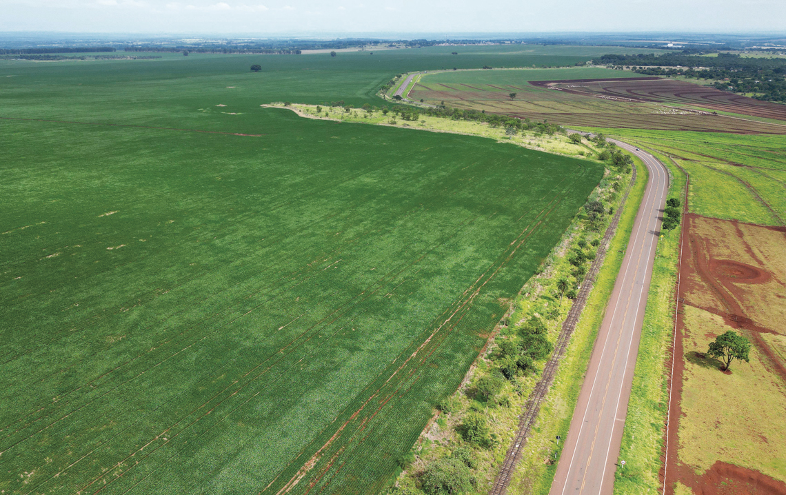 Plantação de soja nos arredores de Campo Grande, em Mato Grosso: agronegócio se expande pelo bioma