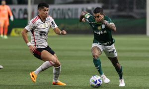 Flamengo x Atlético-MG: onde assistir ao jogo decisivo na Série A - Giz  Brasil