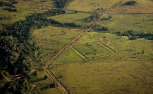 Marcas humanas indicam grande população na Amazônia antiga