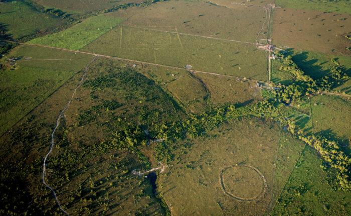 Com Lidar e modelo matemático, os pesquisadores calculam que existam entre 10 mil e 24 mil dessas estruturas na Amazônia