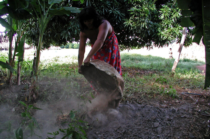 Mulher Kuikuro deposita cinzas de fogueira em área onde desenvolve terra pretaMorgan Schmidt / UFSC 