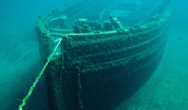 Navios naufragados estão salvando a vida marinha da pesca de arrasto