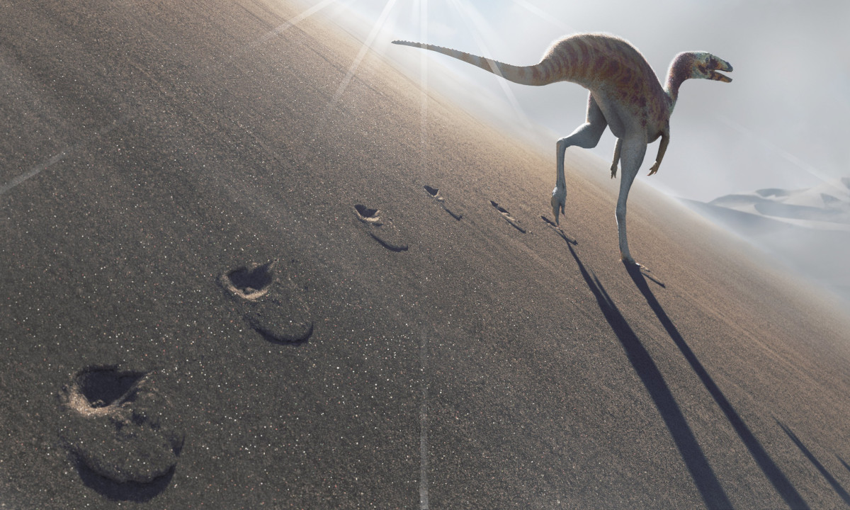 10 jogos imperdíveis de dinossauros