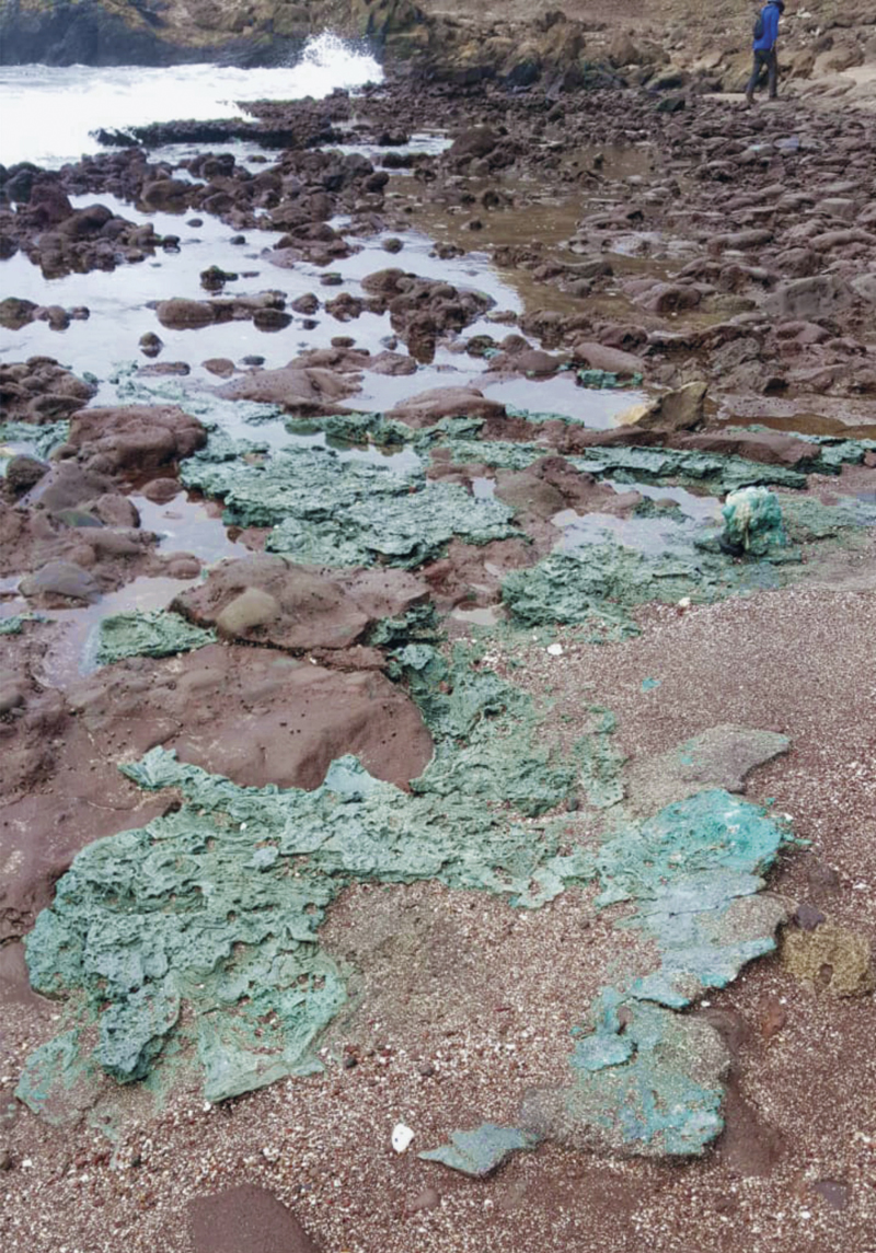 Rochas de plástico (verde) na ilha da Trindade
