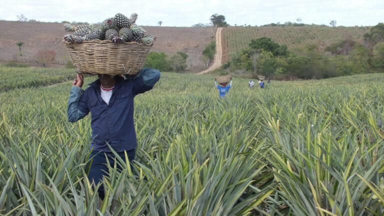 Tecnologias focadas em problemas de áreas como Amazônia e saúde podem ser base para políticas públicas no país, aponta documento